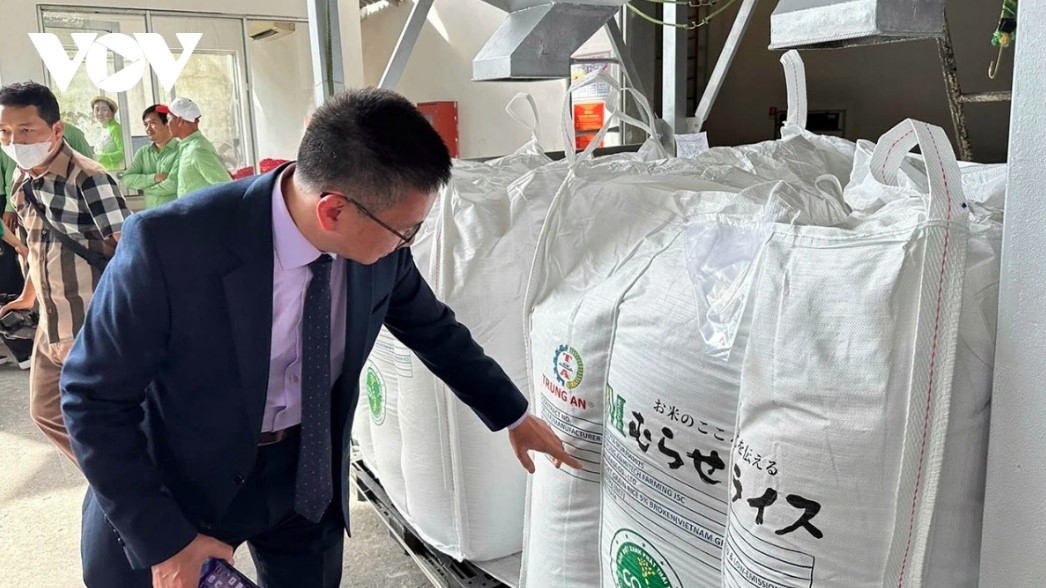 To access high-end markets, the rice industry is required to demonstrate rigorous food safety standards, consistent quality, competitive prices, reliable supply and environmentally sustainable production practices