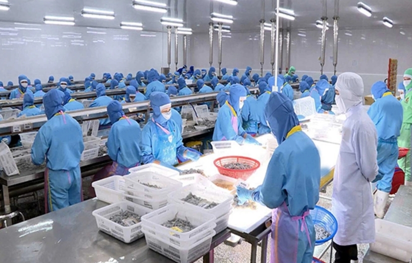 Vietnam’s seafood exports rise 13% in January