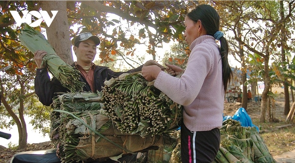 At this time of the lunar year, the Tranh Khuc banh chung craft village is busier than ever, with trucks carrying dong leaves, beans, rice and finished cakes moving in and out throughout the day.