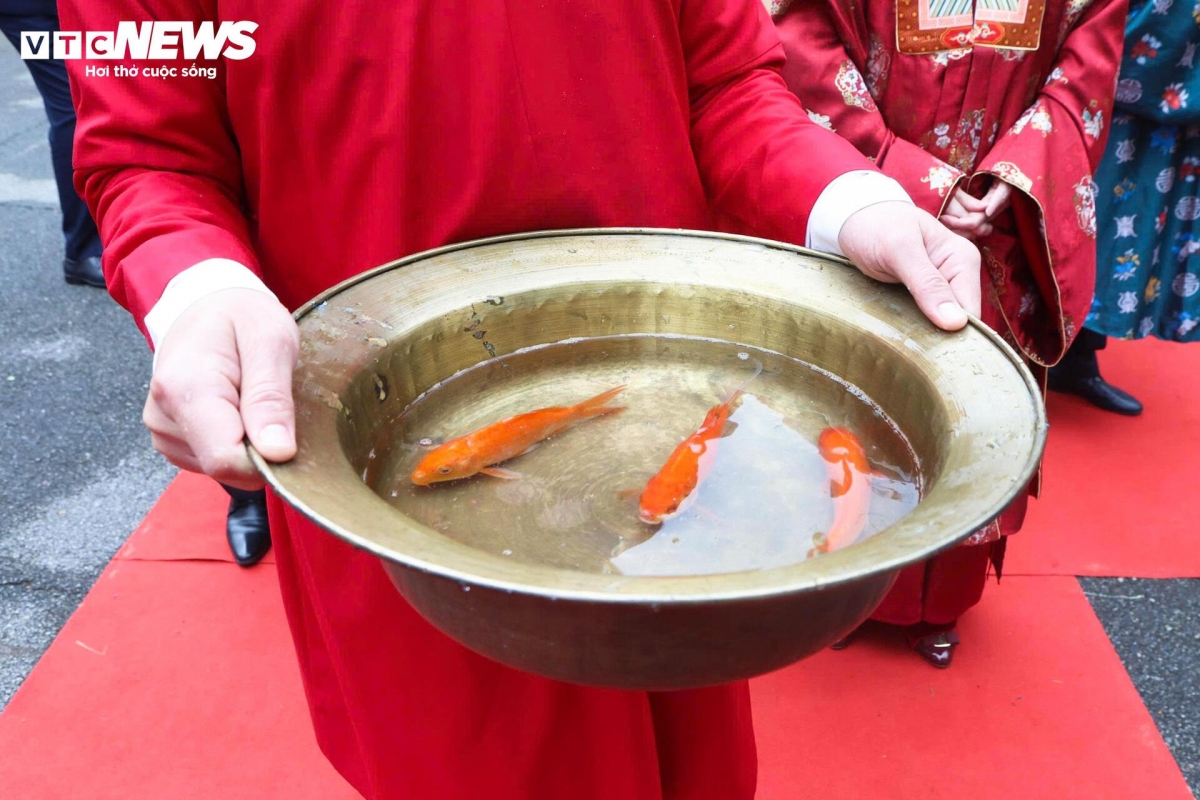 Lễ Thả cá chép tiễn ông Công ông Táo (Carp-releasing ceremony) is a familiar custom in Vietnamese life, expressing the wish for a prosperous and happy life.