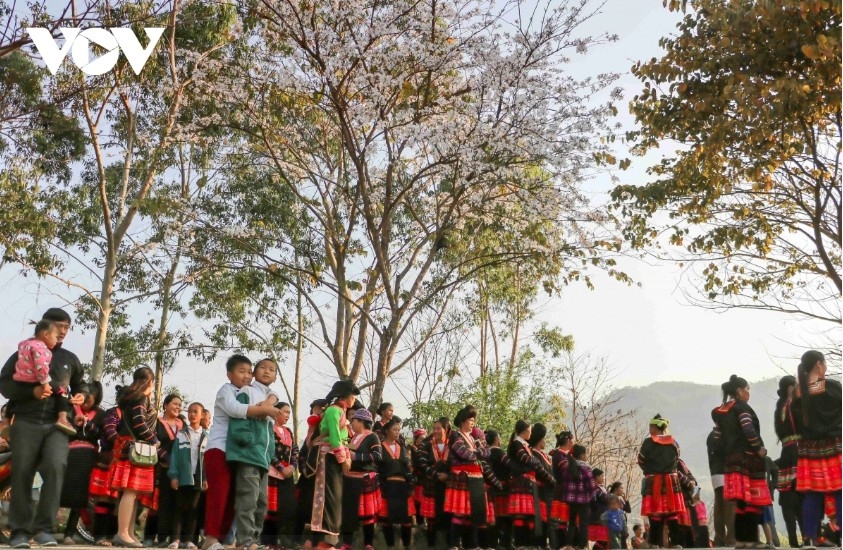 Through the Ban Flower Festival 2026, Dien Bien continues to preserve and promote traditional cultural values, honouring both tangible and intangible heritage, customs, folk arts, cuisine and traditional attire of ethnic communities.