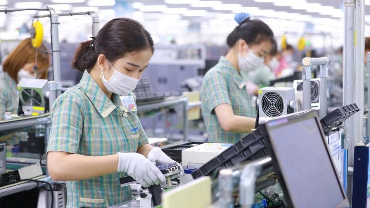 Efforts must be intensified to harness resources for the private sector to develop vigorously