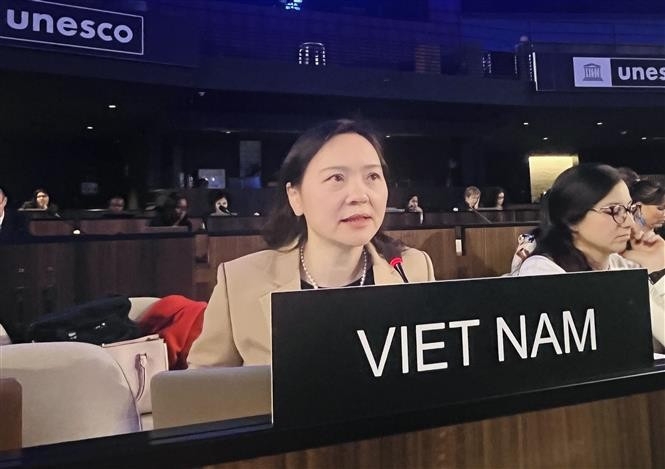 Ambassador Nguyen Thi Van Anh, Permanent Representative of Vietnam to UNESCO (Photo published by VNA)