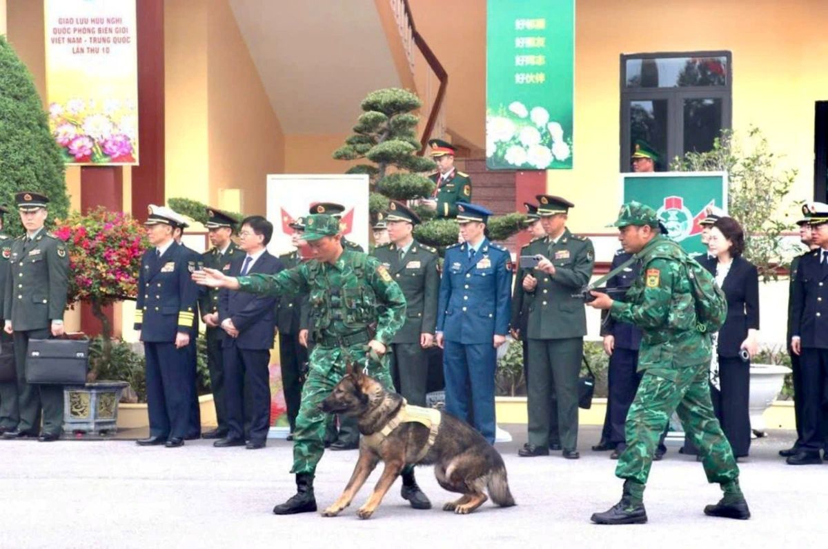 In response, professional measures are immediately deployed, including the use of trained sniffer dogs to detect narcotics.