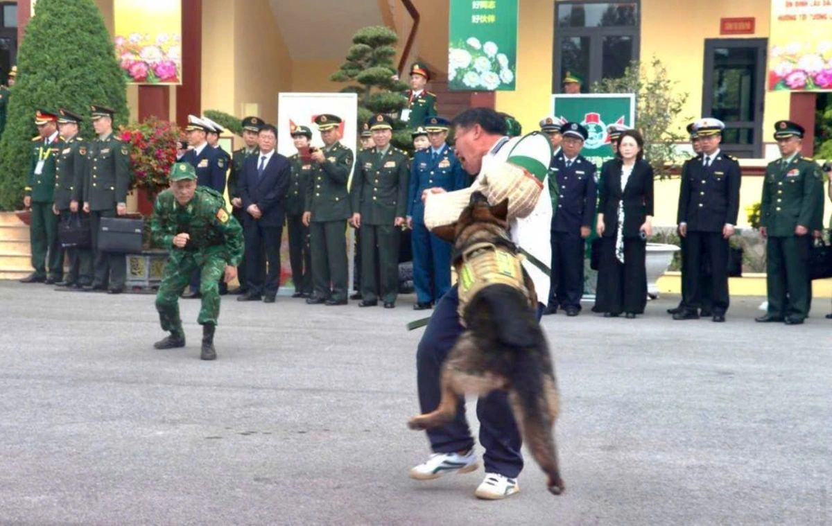 The sniffer dogs are commanded to attack, quickly detect traces of narcotics, locate the evidence, and assist the authorities in subduing and arresting the suspects in accordance with procedures.