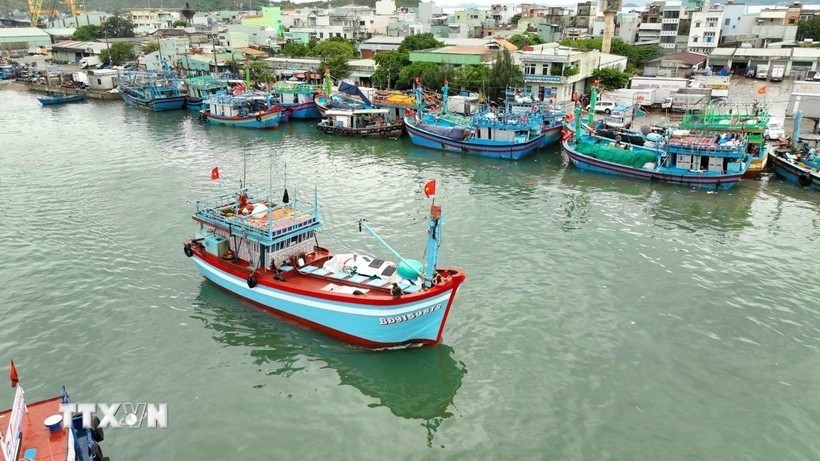The Mekong Delta province of An Giang has set up 10 task forces to conduct inspections of IUU prevention efforts across localities, focusing on preventing any “three Nos” boats that lack proper registration certificates, fishing licences and inspection certifications. (Photo: VNA)