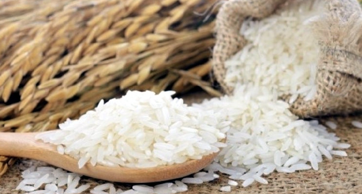 Four newly certified rice shipments show Vietnamese rice’s growing presence in the EU market
(Photo: Illustrative image)