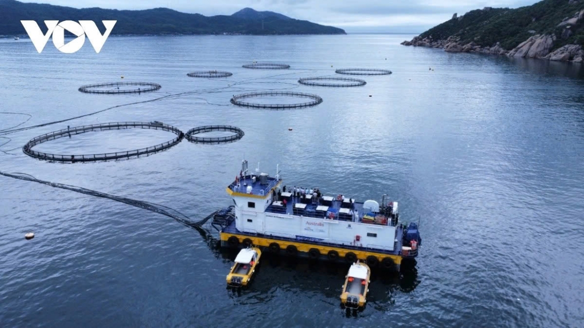 There is much room to develop green ocean economy in Vietnam (Illustrative image)