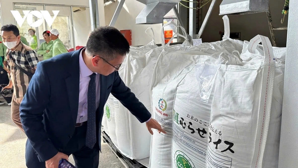 Vietnam exports high quality rice to high-end markets such as Japan