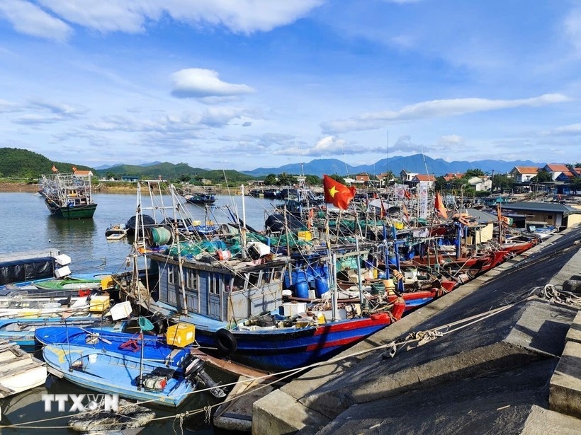 Khanh Hoa currently has 5,120 fishing vessels measuring 6 metres or longer, all of which have been registered, licensed and updated on the national fisheries database (VNFishbase).