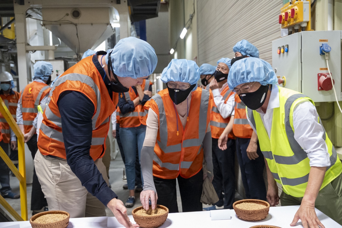 ACIAR, SunRice Group and University of Queensland partner on climate-smart rice value chains in Mekong Delta