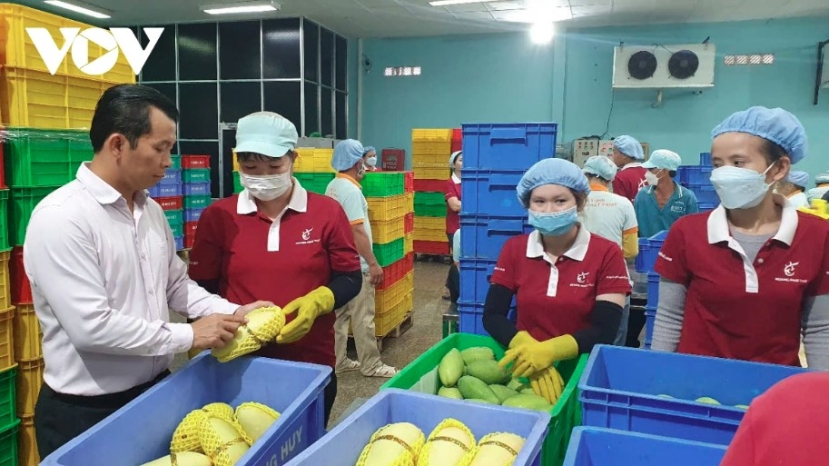 Fruit and vegetable exports lift Q1 trade surplus to nearly US$717 million