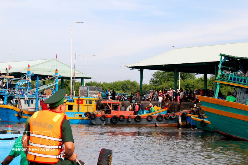 Border guards from Thanh Hai Border Guard Station patrol fishing vessels entering Phu Hai port in Phu Thuy ward, Lam Dong province. (Photo: VNA)