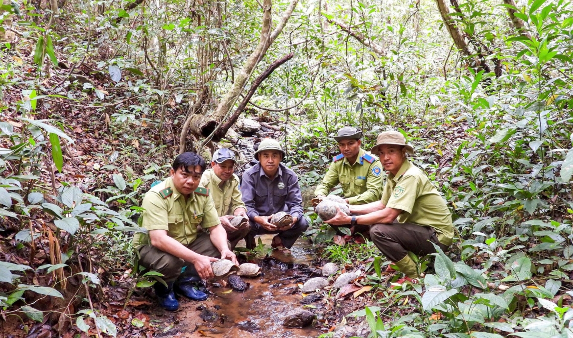 Rare animals are released back into the wild (Photo: congly.vn)