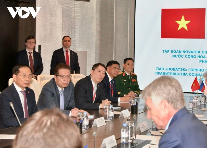 The high-level delegation of Vietnamese leaders at the working session