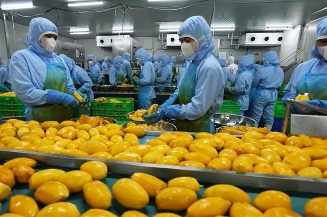 Workers at a food processing company in Dong Nai Province. — VNA/VNS Photo
