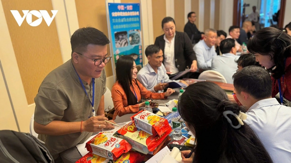Vietnamese and Chinese businesses participate in a B2B matching session