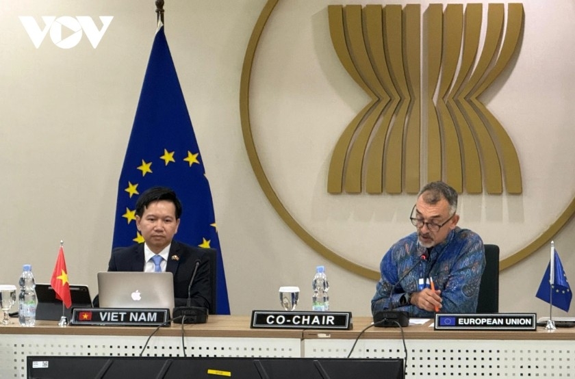 Counsellor and Head of the Permanent Economic Mission of Vietnam to ASEAN Nguyen Anh Duc and Head of Cooperation section at the EU Delegation to ASEAN Jerome Pons co-chair the meeting.