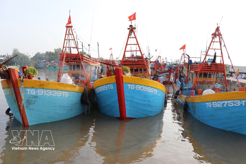 Fishing boats anchor at Vam Lang Fishing Port in Gia Thuan commune, Dong Thap province. (Photo: VNA)