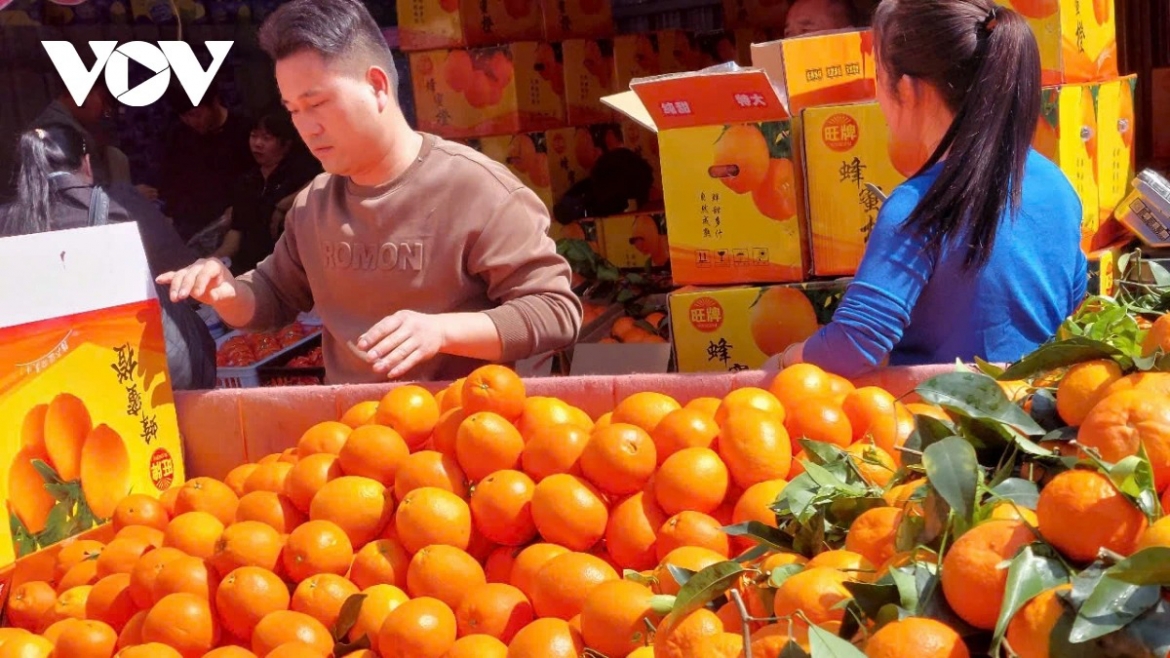 Fruits displayed at Zinma – Zheng Chang wholesale market