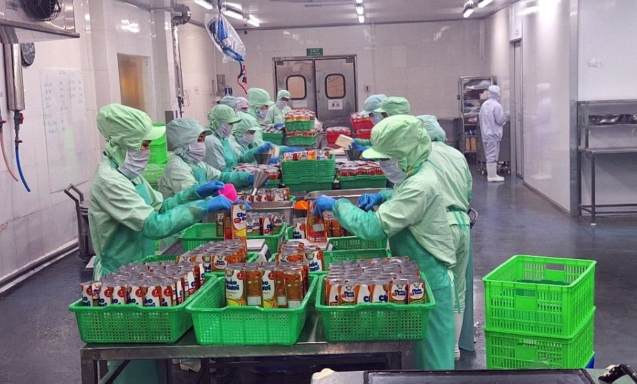 Green production is seen as pathway for Vietnamese firms to join global Halal supply chains. (Illustrative image)