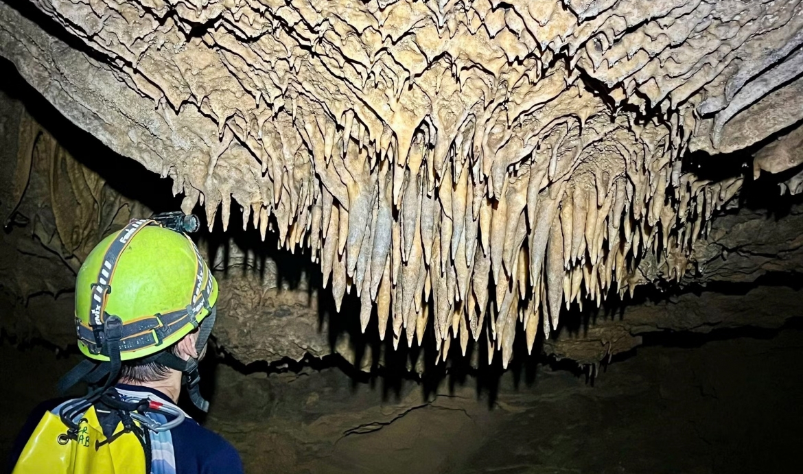 26 new caves have been discovered in Phong Nha–Ke Bang National Park, highlighting its global karst significance and potential for scientific research and sustainable tourism