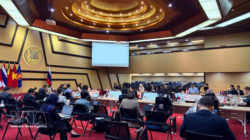 An overview of the 24th ASEAN-Russia Joint Cooperation Committee Meeting in Jakarta (Photo published by VNA)