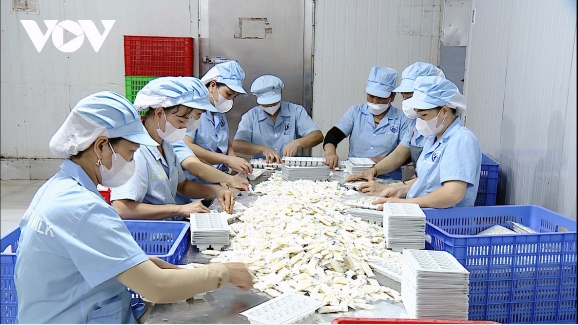Private firms call for a more enabling business environment to support long-term growth