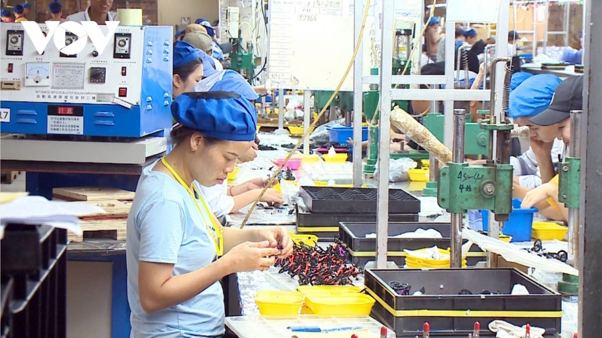 Stronger policies are needed to unlock private firms' long-term growth