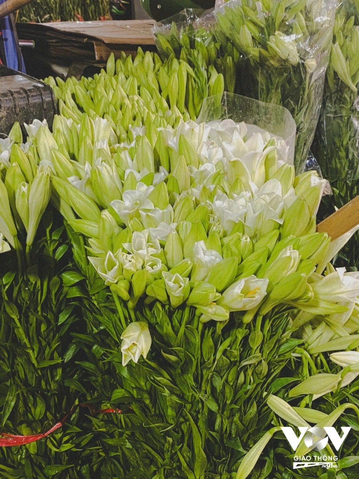 “On busy days, everything sells out overnight. It is usually busiest around 10-11 p.m. or in the early hours around 4 a.m.,” Kim Anh says.