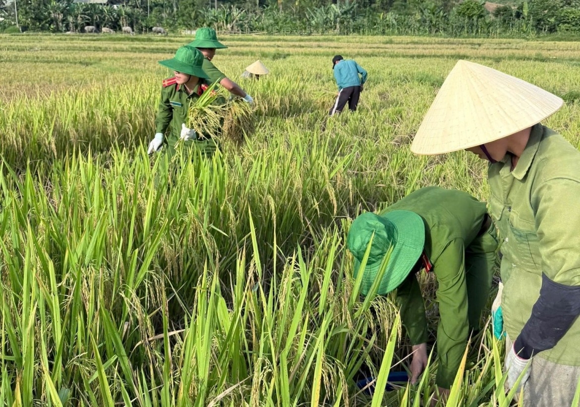 In the midst of the busy harvest season, these seemingly simple acts by local police officers have left a lasting and heartfelt impression on local residents, reflecting a strong bond between the force and the community.