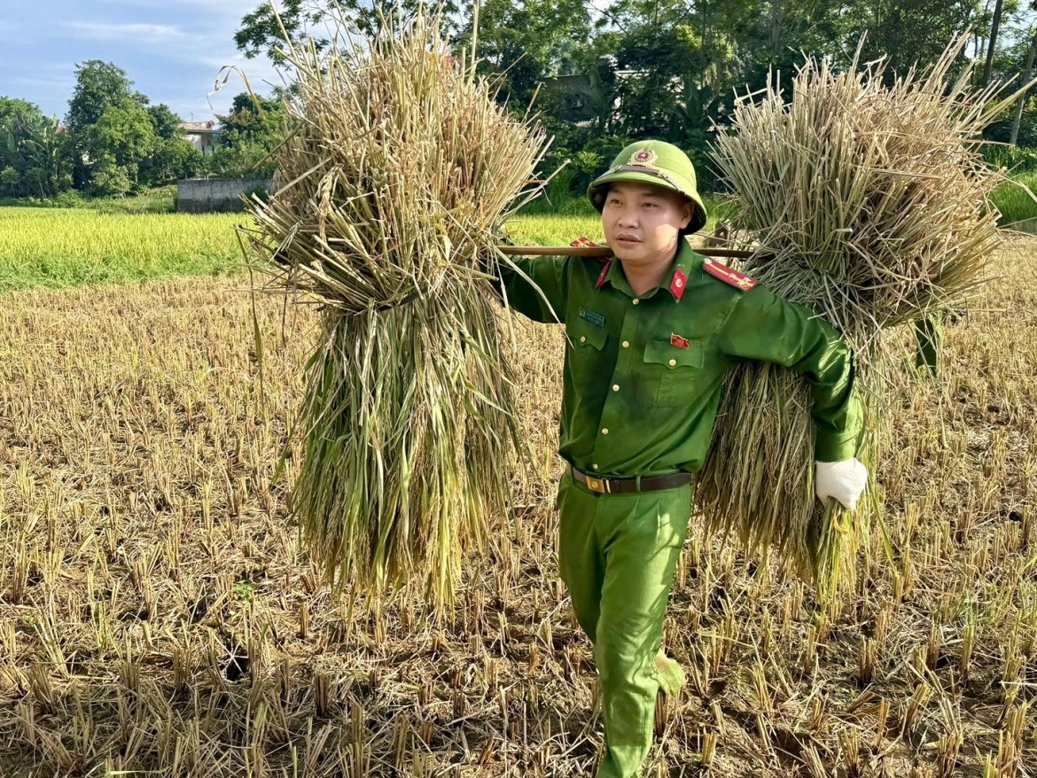 Upholding the spirit of staying close to and serving the people, the commune police always see supporting residents during harvest season as a practical way to help ease the burden of agricultural work, says Senior Lieutenant Ninh Viet Tan, deputy chief of Cam Tan Commune Police.