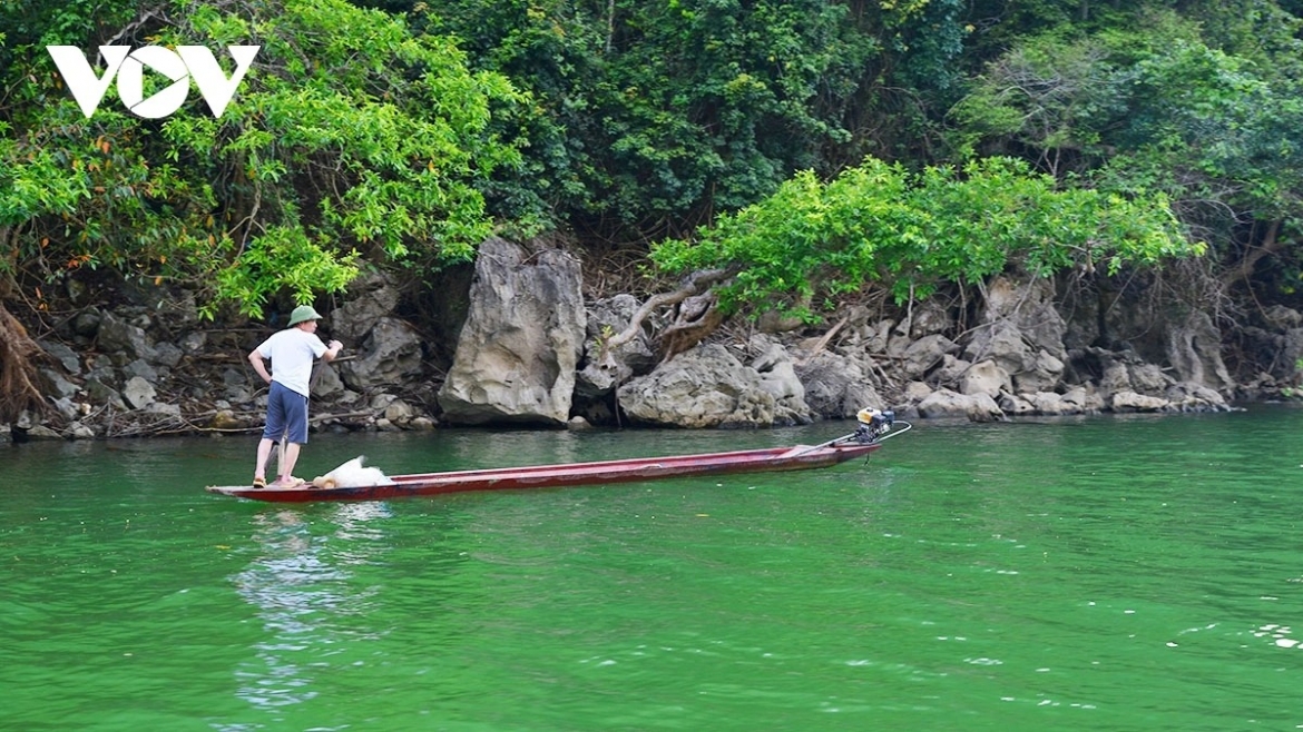 Beyond Nui Coc Lake and Ba Be Lake, the locality is home to primeval forests and protected natural areas such as Nam Son Lac Nature Reserve and Tam Dao National Park, along with nearly 60 caves and distinctive agricultural regions, particularly its renowned tea-growing areas.