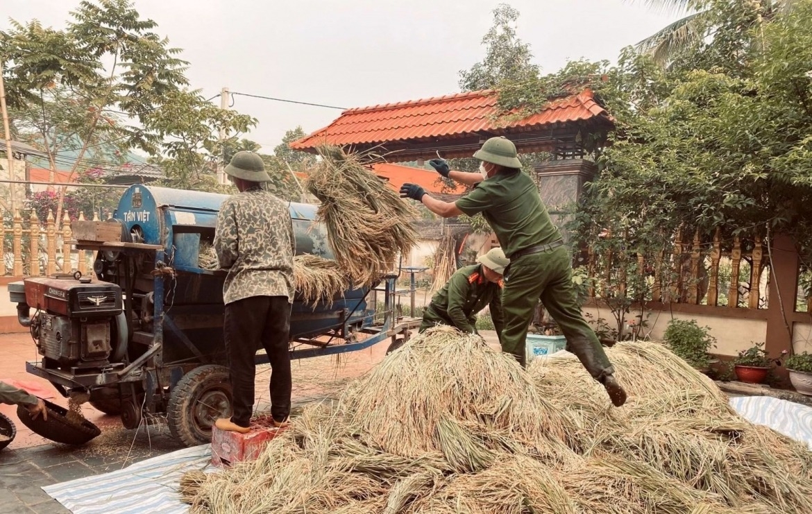After bringing the harvested rice in from the field, officers and soldiers from Quy Luong Commune Police continue helping residents by threshing the grain.