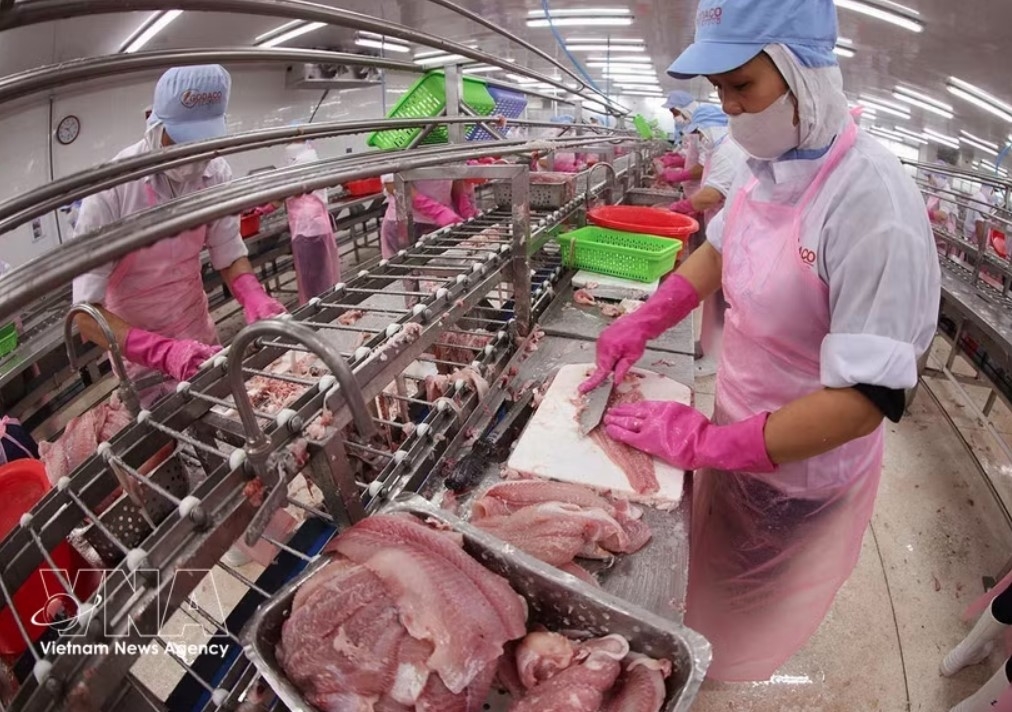 Workers process pangasius for export at a factory of the Go Dang Tien Giang JSC in Dong Thap province. (Photo: VNA)