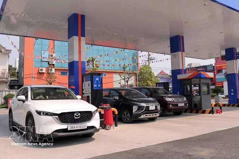 Fuel pumps at a retail gas station in Thanh Sen ward, Ha Tinh province (Photo: VNA)