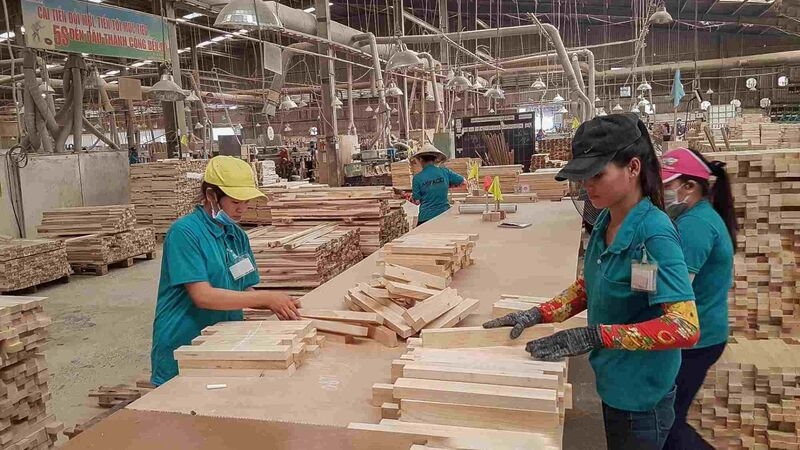 EUDR traceability requirements pose major challenge for Vietnam’s agro-forestry exports
(Illustrative photo)
