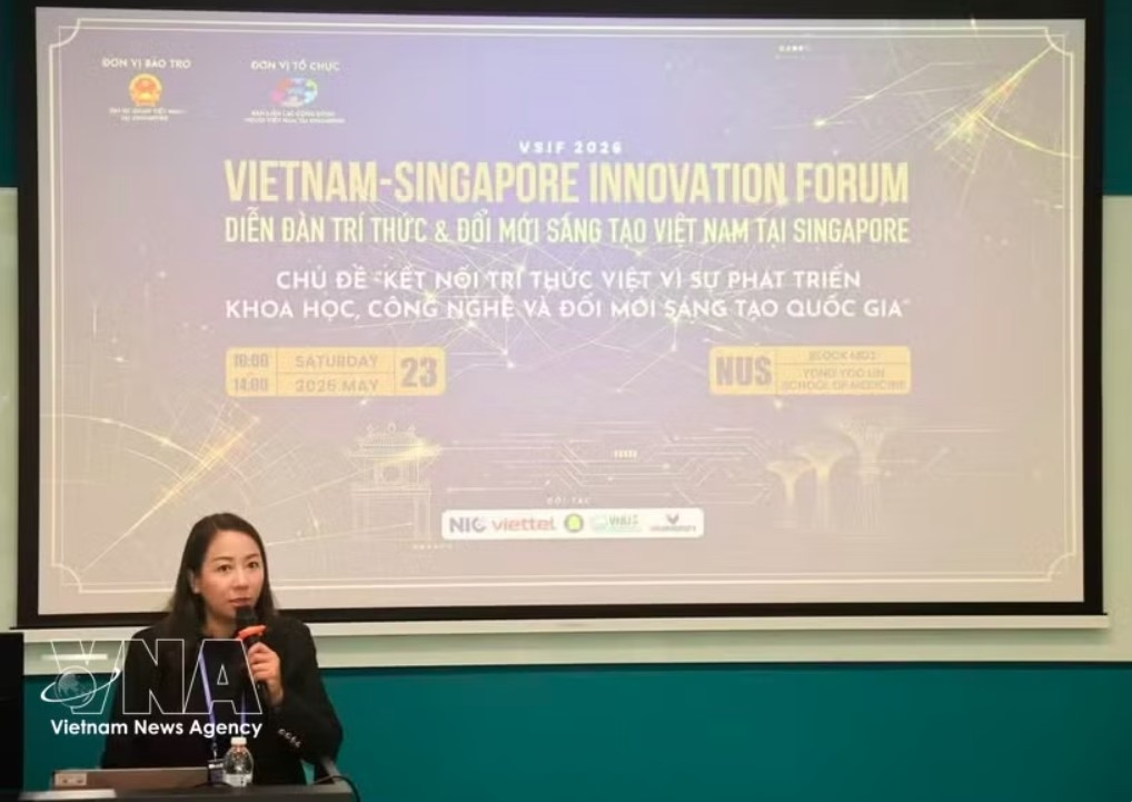 Ta Thuy Lien, head of the liaison board of the Vietnamese community in Singapore. (Photo published by VNA)