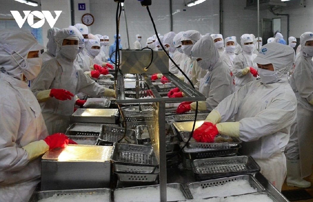 The DOC releases preliminary anti-dumping findings for the 2024-2025 review of Vietnamese shrimp