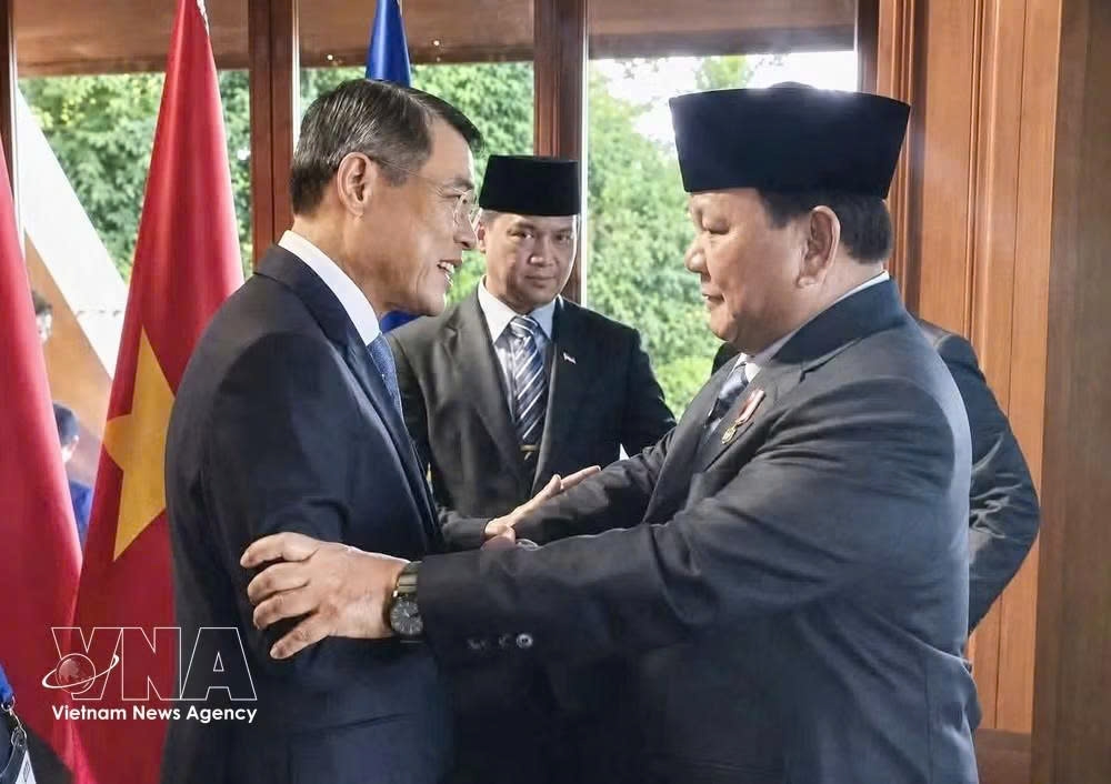 Vietnamese Prime Minister Le Minh Hung and Indonesian President Prabowo Subianto at their meeting on May 8 (Photo: VNA)