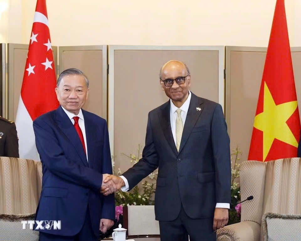 Vietnam's Party General Secretary and State President To Lam (L) and Singapore's President Tharman Shanmugaratnam shaking hands ahead of their talks on May 29. (Photo: VNA)