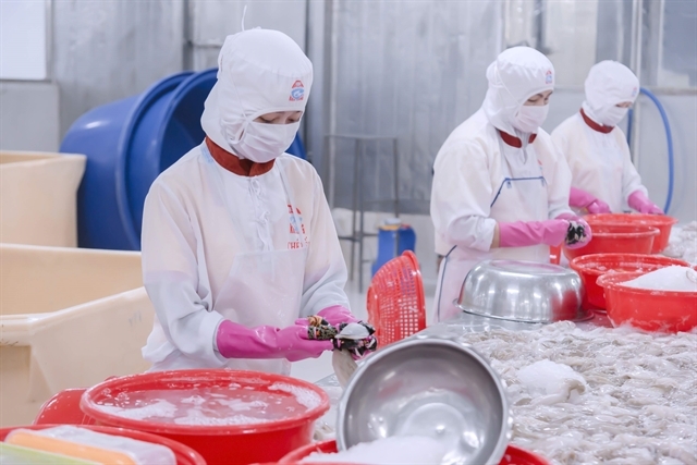 Workers processing frozen squid products for export at Kien Cuong Import-Export Seafood Processing JSC. — VNA/VNS Photo