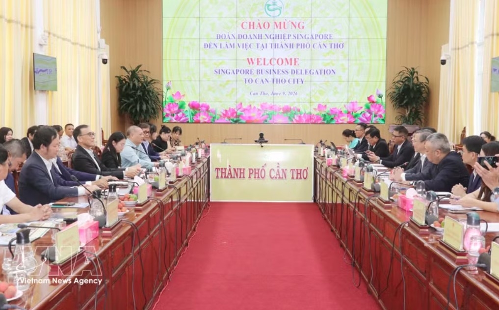 At the working session between Can Tho leaders and representatives of Singaporean businesses. (Photo: VNA)