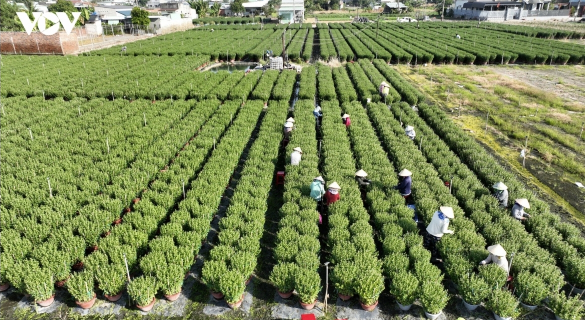 Changes in production mindset will determine the competitiveness of agricultural products