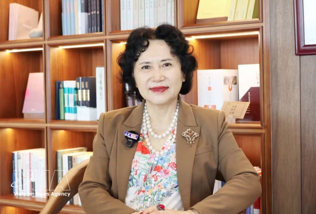 Professor Tao Yitao, Director of the China Centre for Special Economic Zone Research (Photo: VNA)