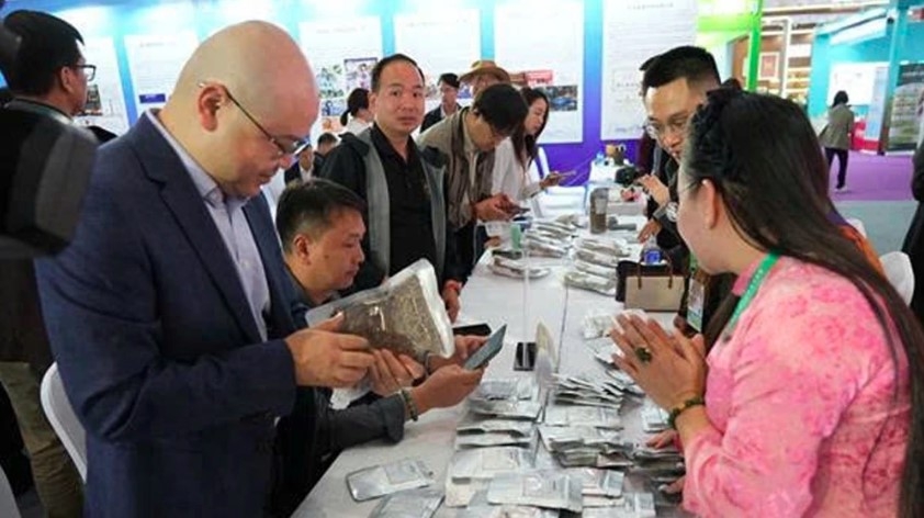 Coffee enterprises from Vietnam and China network and exchange information