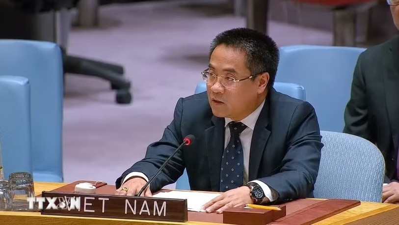 Minister Counsellor Nguyen Hai Luu addresses the debate (Photo: VNA)