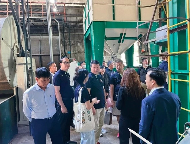 Japanese buyers survey Lam Dong supply chain for coffee and tea sourcing (Photo: doanhnghiepvn.vn)