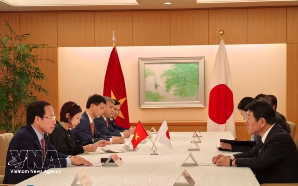 Deputy Prime Minister Le Tien Chau meets with Japanese Foreign Minister Motegi Toshimitsu on June 10. (Photo: VNA)