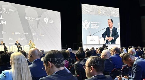 Vietnamese Minister of Justice Hoang Thanh Tung addresses the plenary session (Photo :VNA)